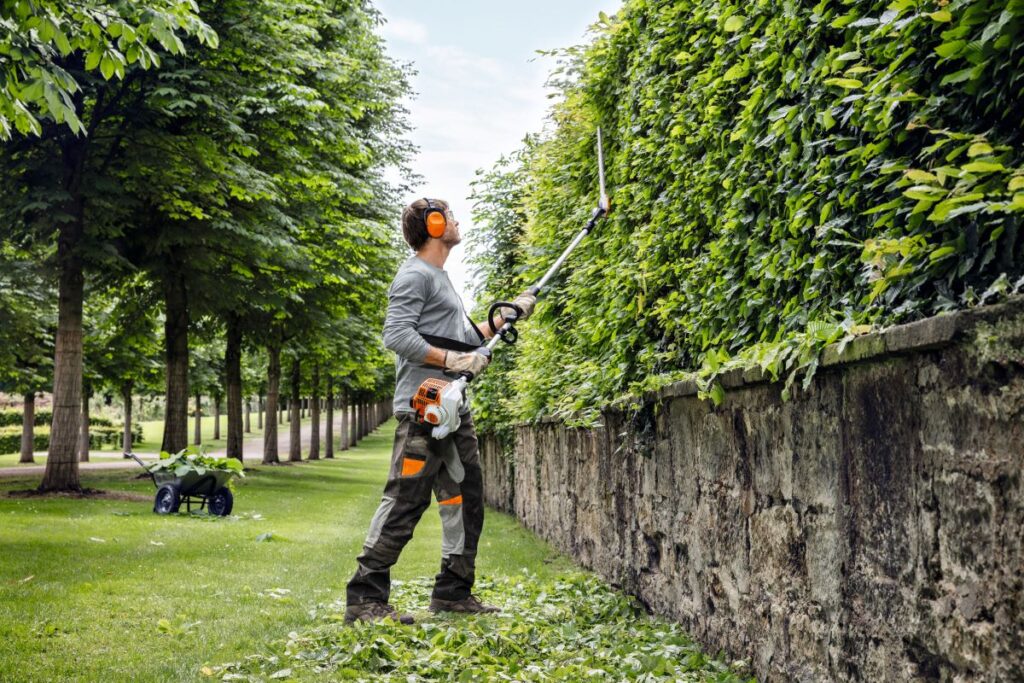 cost of hedge trimming