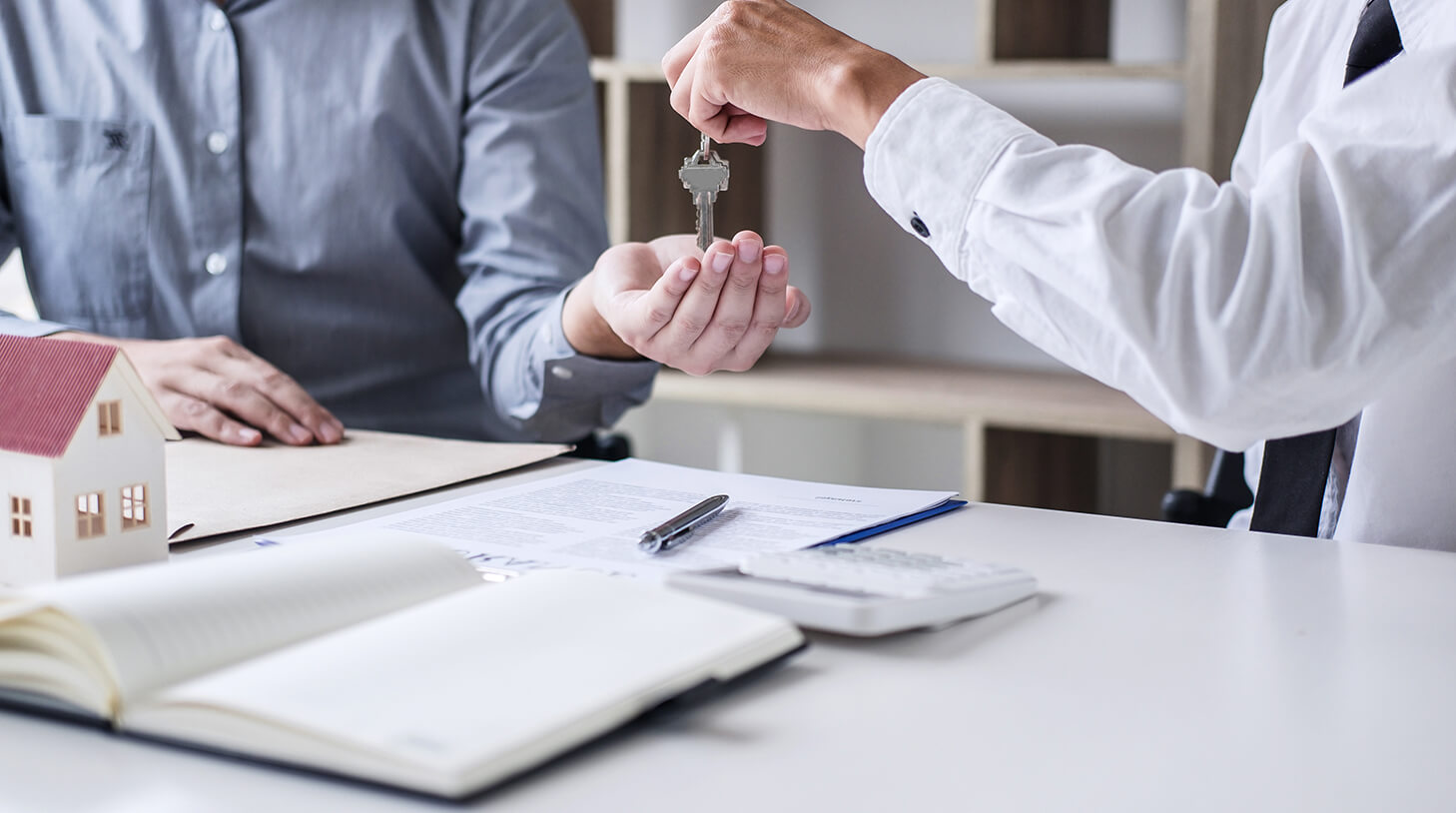 tamarama property buyers agent