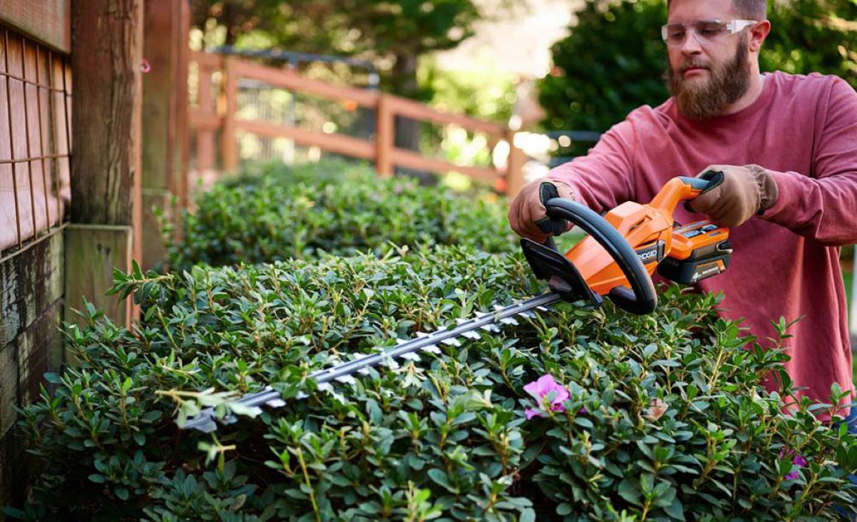 cost of hedge trimming